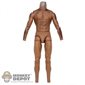 Figure: Hot Toys Tonto Muscle Body