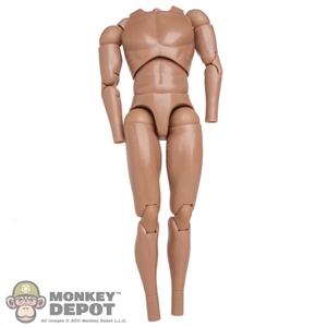 Figure: Hot Toys Base Body