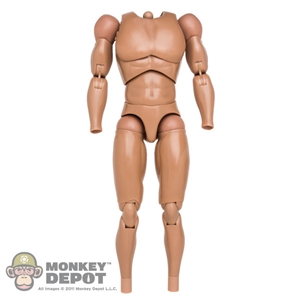 Figure: Hot Toys Muscle Base Body