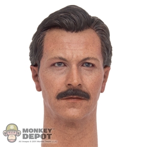 Head: Hot Toys Jim Gordon