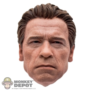 Head: Hot Toys T-800 Guardian