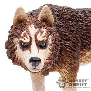 Dog: Hot Toys Brown & White Wolf