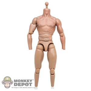 Figure: Hot Toys Muscle Body