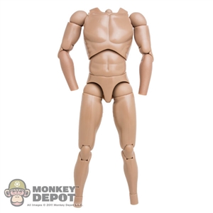 Figure: Hot Toys Basic Body w/Skin Colored Forearms