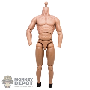 Body: Hot Toys The Punisher Muscle Body