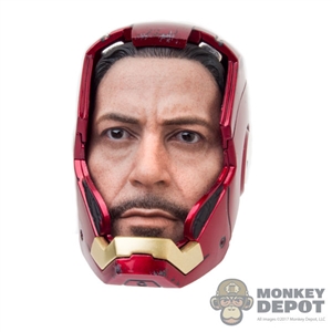 Head: Hot Toys Tony Stark (READ NOTES)