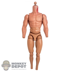 Figure: Hot Toys Gladiator Thor Base Body w/Magnet