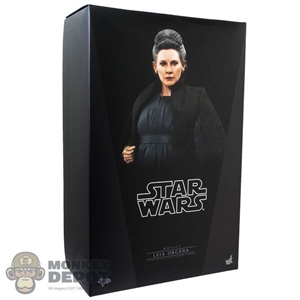 Hot Toys Star Wars: The Last Jedi Leia Organa (EMPTY BOX)