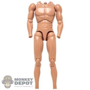 Figure: Hot Toys Mens Muscular Body w/Textured Arms