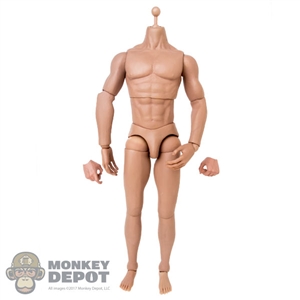 Figure: Modeling Toys Muscle Body