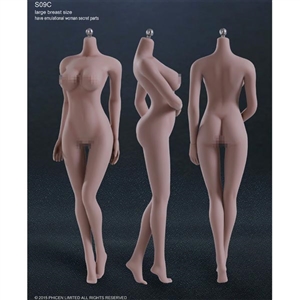 Boxed Figure: TBLeague Seamless Body in Suntan/Large Breast (PL-LB2015S09C)