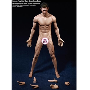 Boxed Figure: TBLeague Super Flexible Male Seamless Body-M36A (PL2018-M36A)