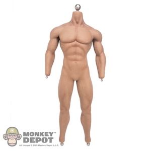 Figure: TBLeague Seamless Muscle Body