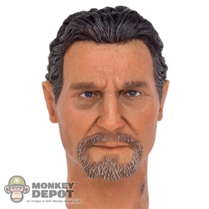 Head: POP Toys Lian Neeson