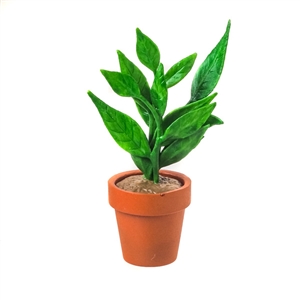 Plant: Redman Potted Plant