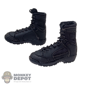 Boots: Soldier Story danner Tactical Boots