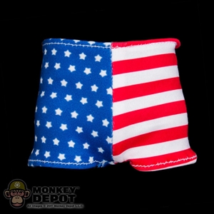 Shorts: Storm Collectibles US Flag Shorts