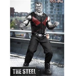 Boxed Figure: Toys Era The Steel (TE-015)