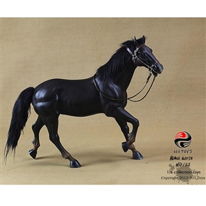 Boxed Figure: Three Zero Three Black Horse (303T-102)