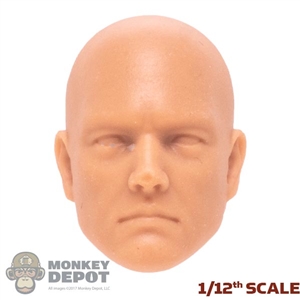 Head: VToys 1/12th Unpainted Head Sculpt