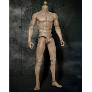 Boxed Figure: World Box 1/6 Articulated Male Figure