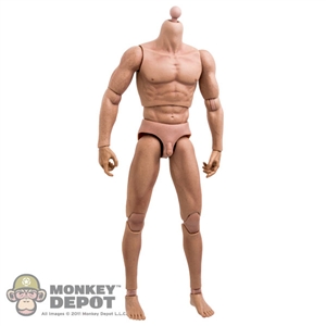 Figure: World Box 2.0 Male Body Nude (No Head)