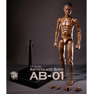 Boxed Figure: ZC World Articulate Body (AB-01)