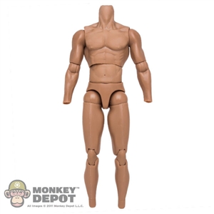 Figure: ZY Toys Muscle Base Body (No head, hands or feet)