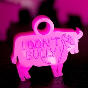 Anti-bully Awards - "I Don't Bully" Bull