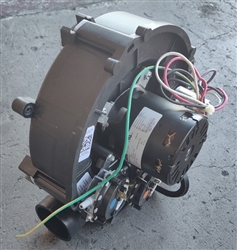 (Goodman) Induced Draft Motor 115V, 0171M00002 (F)