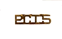 P.C.T.5 Collar Pins (Set of 2)