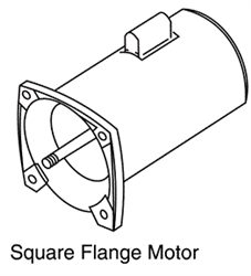 Pentair Motor  1 2F 1 4A stdsqflg 355019S