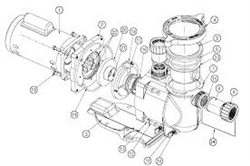 Pentair CHN23 4F 1A 2 sp std power end 115 only