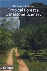 Tropical Forest & Limestone Scenery Virtual Walk Treadmill or Elliptical Workout - The Ambient Collection