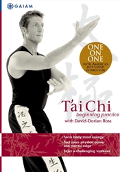 One on One Tai Chi Beginning Practice with David Dorian Ross