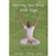 Moving into Bliss with Yoga - Vitality, Clarity, Peace DVD