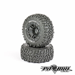 Pit Bull RC Rock Beast XOR SCT 2.2"/3.0 Basher Medium Pre-Mounted