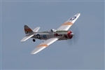 Rage RC P-47 Thunderbolt Micro RTF Airplane