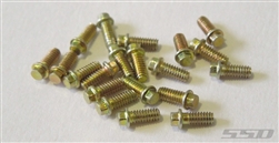 SSD RC Zinc Plated M2 x 5mm Scale Hex Bolts (20)