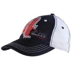 Windham Painter Cap