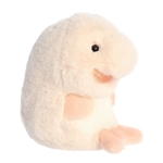 Bailey the Stuffed Blobfish 5 Inch Rolly Pet by Aurora