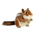 Realistic Stuffed Chipmunk 9 Inch Miyoni Plush by Aurora