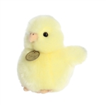 Realistic Stuffed Ameraucana Chick 5.5 Inch Miyoni Plush by Aurora