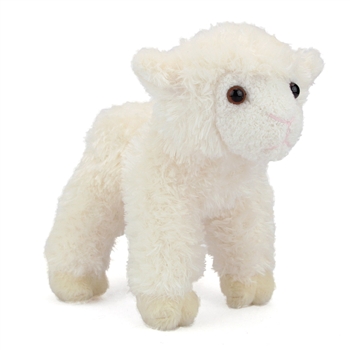 Little Bit the Little Plush White Lamb by Douglas