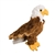 Colbert the Stuffed Bald Eagle by Douglas