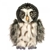 Darius the Stuffed Great Gray Owl by Douglas