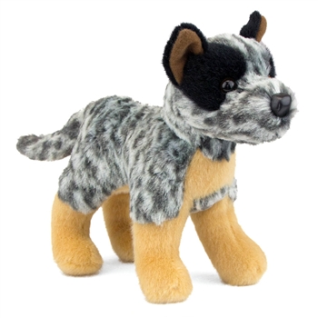 Clanger the Little Plush Australian Cattle Dog by Douglas