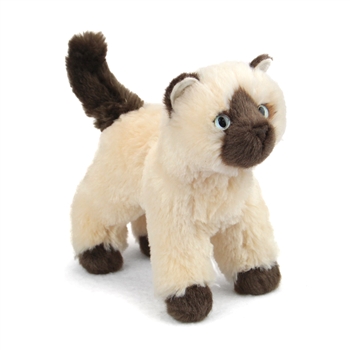 Hilda the Little Plush Himalayan Cat by Douglas