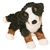 Miranda the Little Plush Bernese Mountain Dog by Douglas