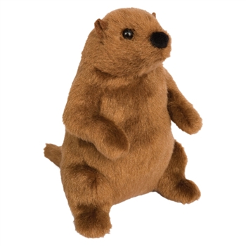 Mr. G. the Groundhog Stuffed Animal by Douglas